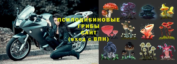 гашик Верея