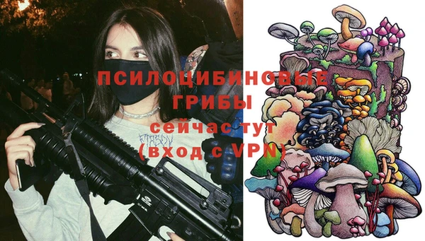 СК Бронницы