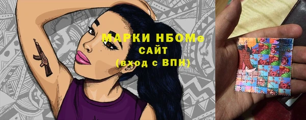 гашик Верея